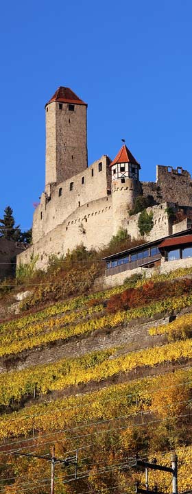 Burg Hornberg