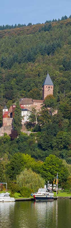 Schloss Zwingenberg in Baden-Württemberg